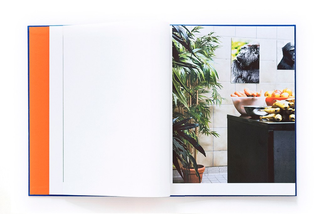 Tomoko Kawai_Intimacy of Paradise_Deutscher fotobuchpreis 21/22 in silber |　河合智子