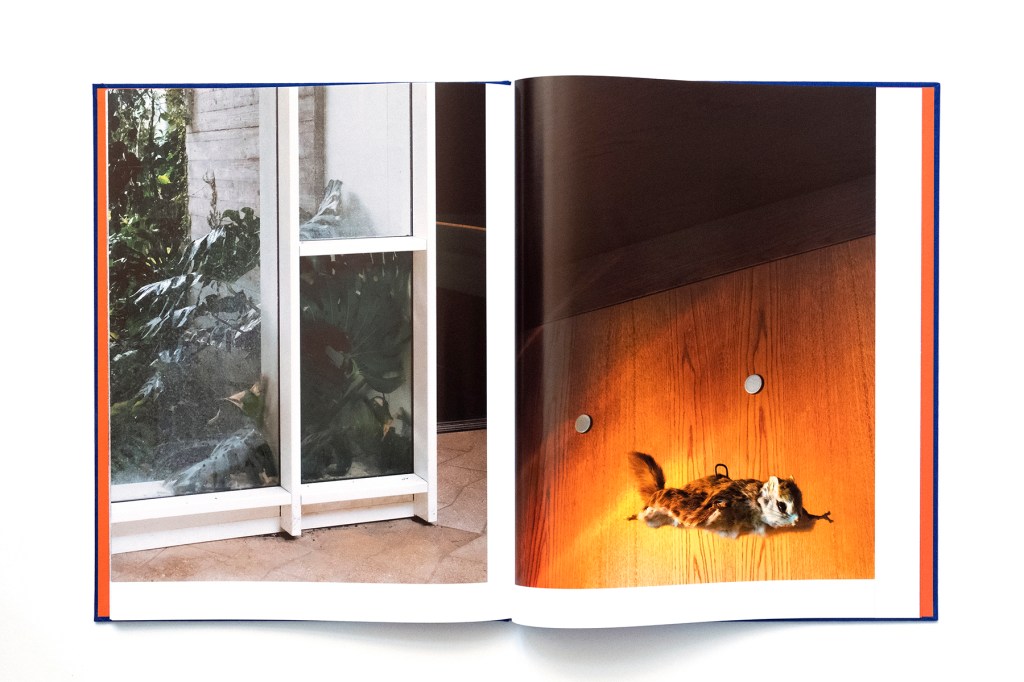 Tomoko Kawai_Intimacy of Paradise_Deutscher fotobuchpreis 21/22 in silber |　河合智子